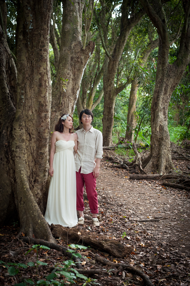 Maui Wedding Photographer, Kapalua, Maui Photography
